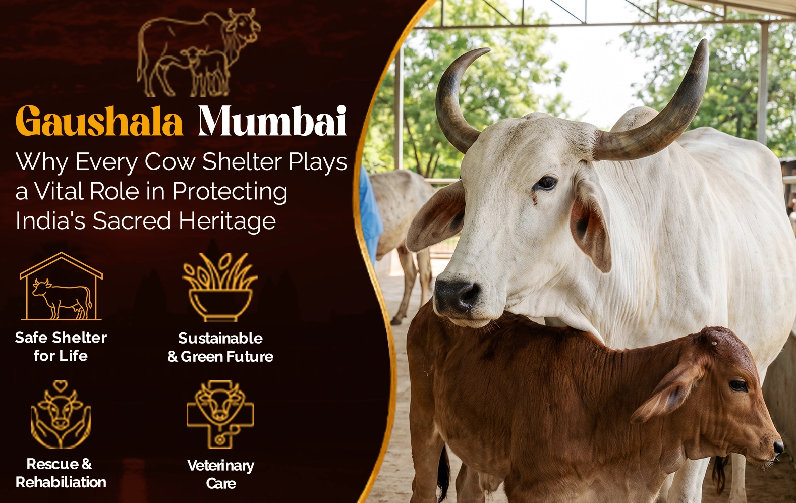 Gaushala Mumbai: Why Every Cow Shelter Plays a Vital Role in Protecting India's Sacred Heritage
