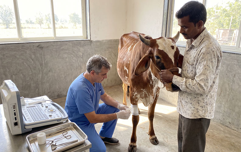 Gau Hospital: Emergency Medical Care & Operations