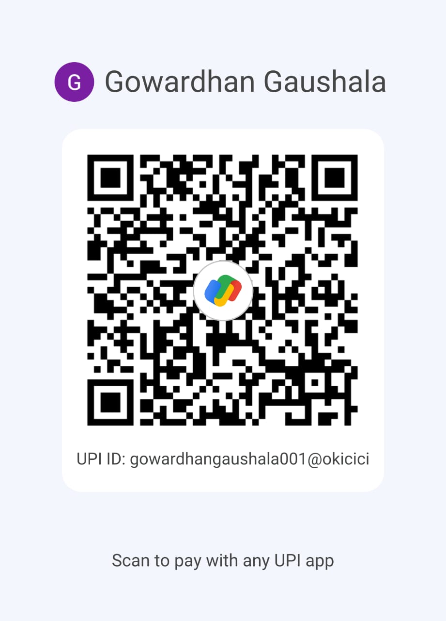 UPI QR Code